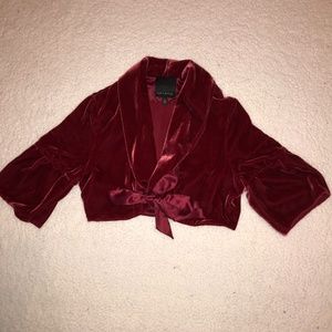 red velvet cropped sweater